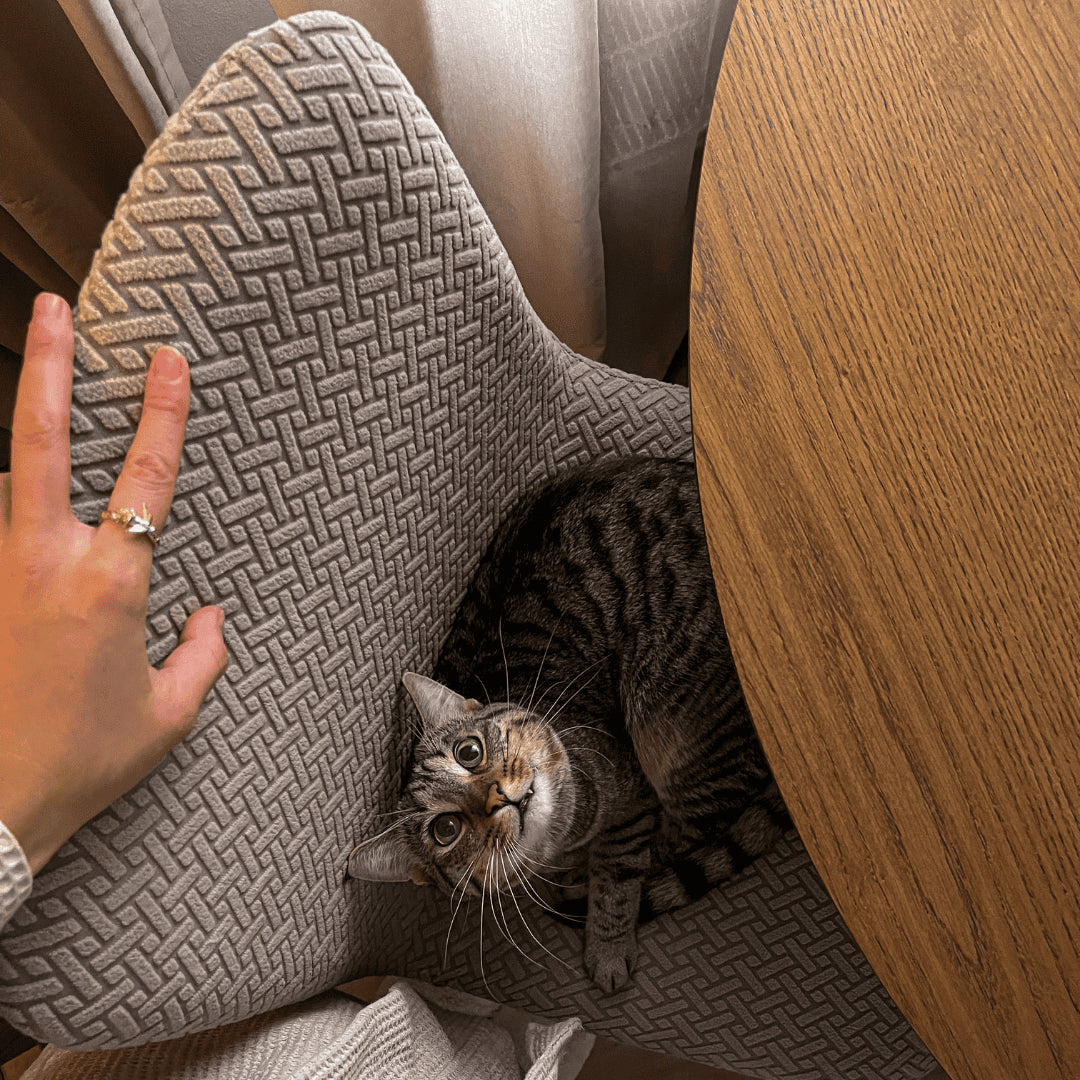 Prevleke za stole Maia